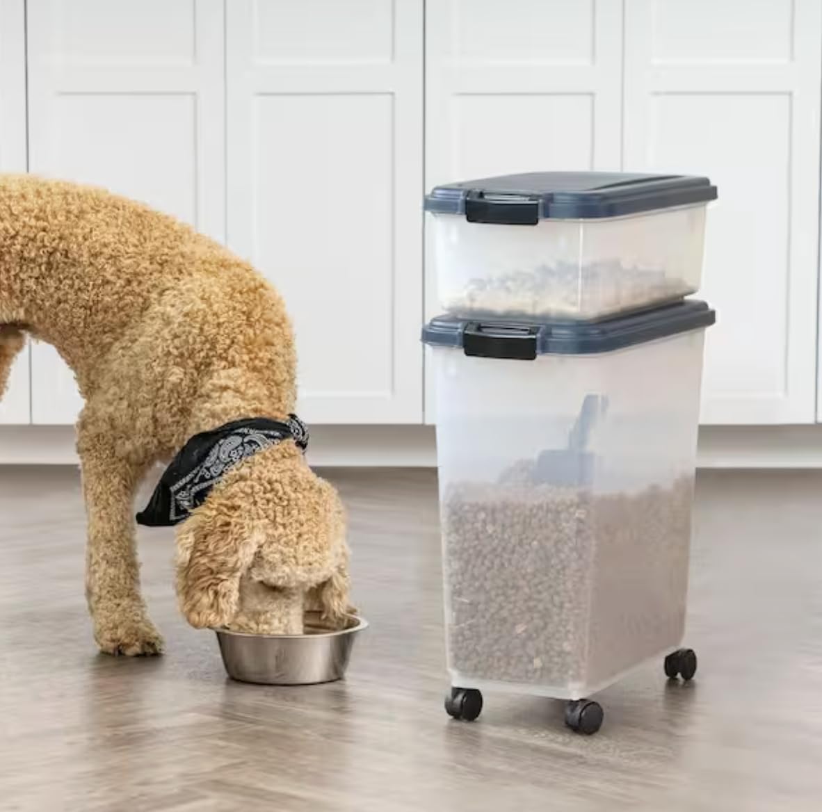 Airtight Pet Food Storage Combo with Scoop U194137