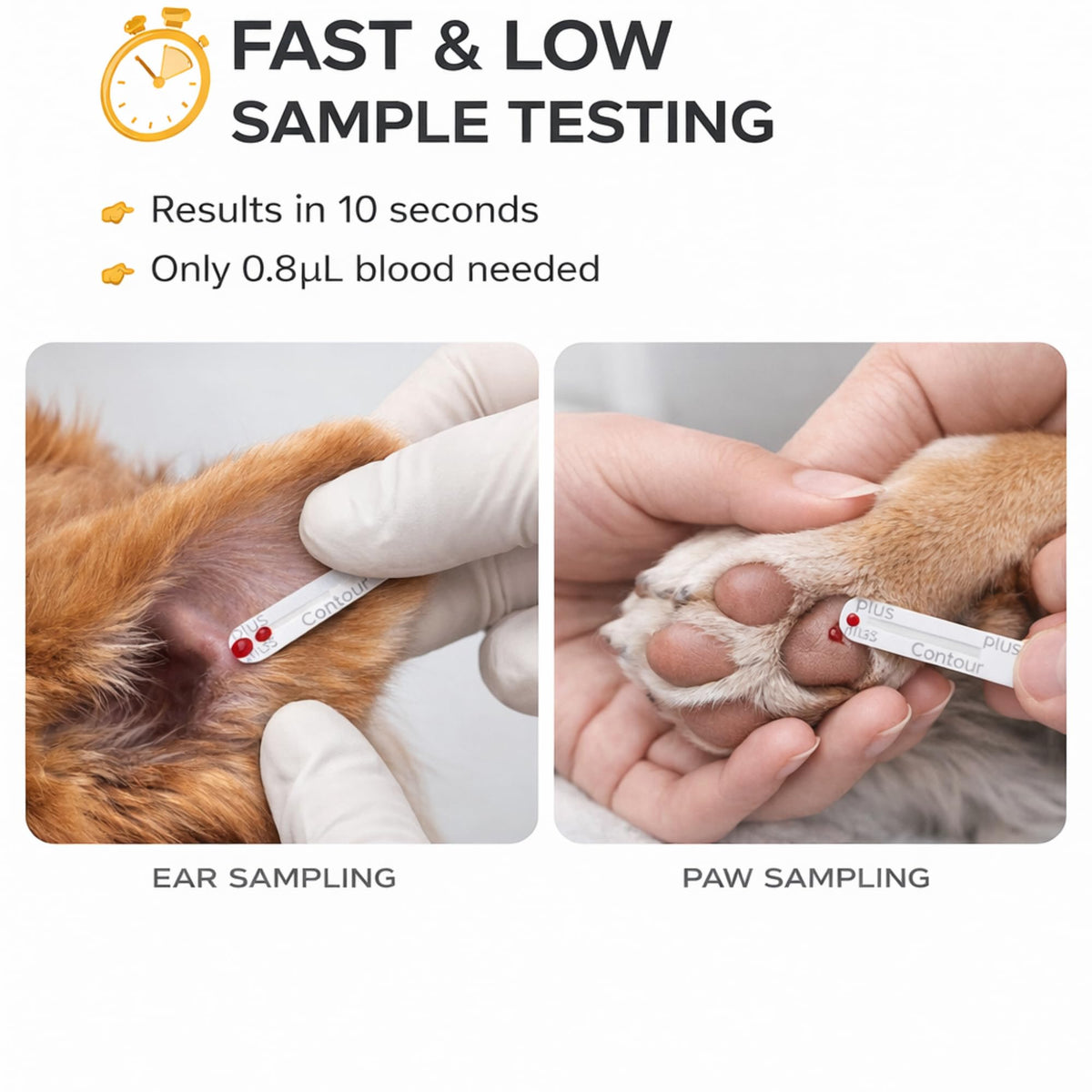 Pet Glucose & Lactate Monitor Kit with 25 Glucose Strips & 25 Lactate Strips D56699