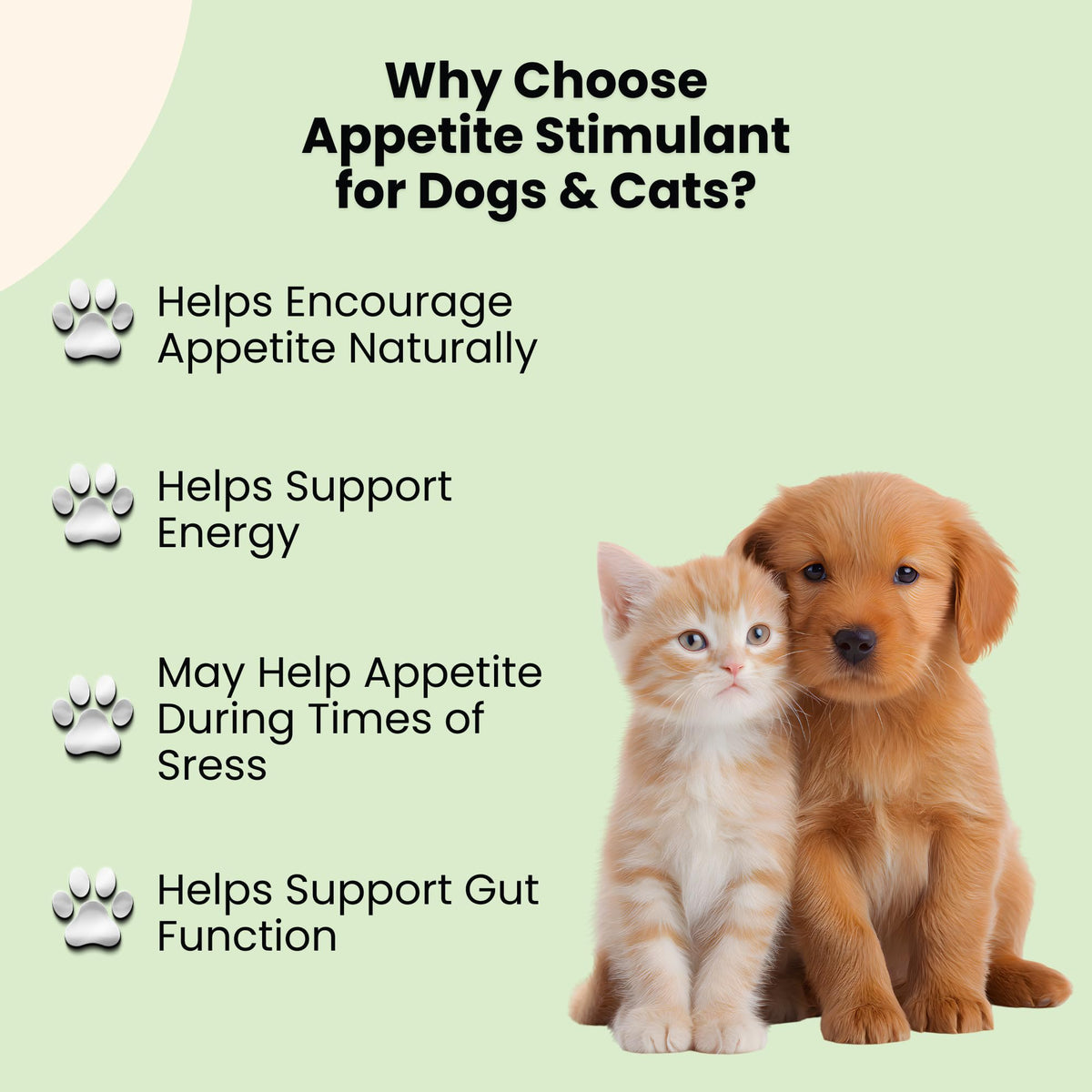 B12 Appetite Stimulant for Cats & Dogs 1 fl oz Roast Chicken Flavor I695