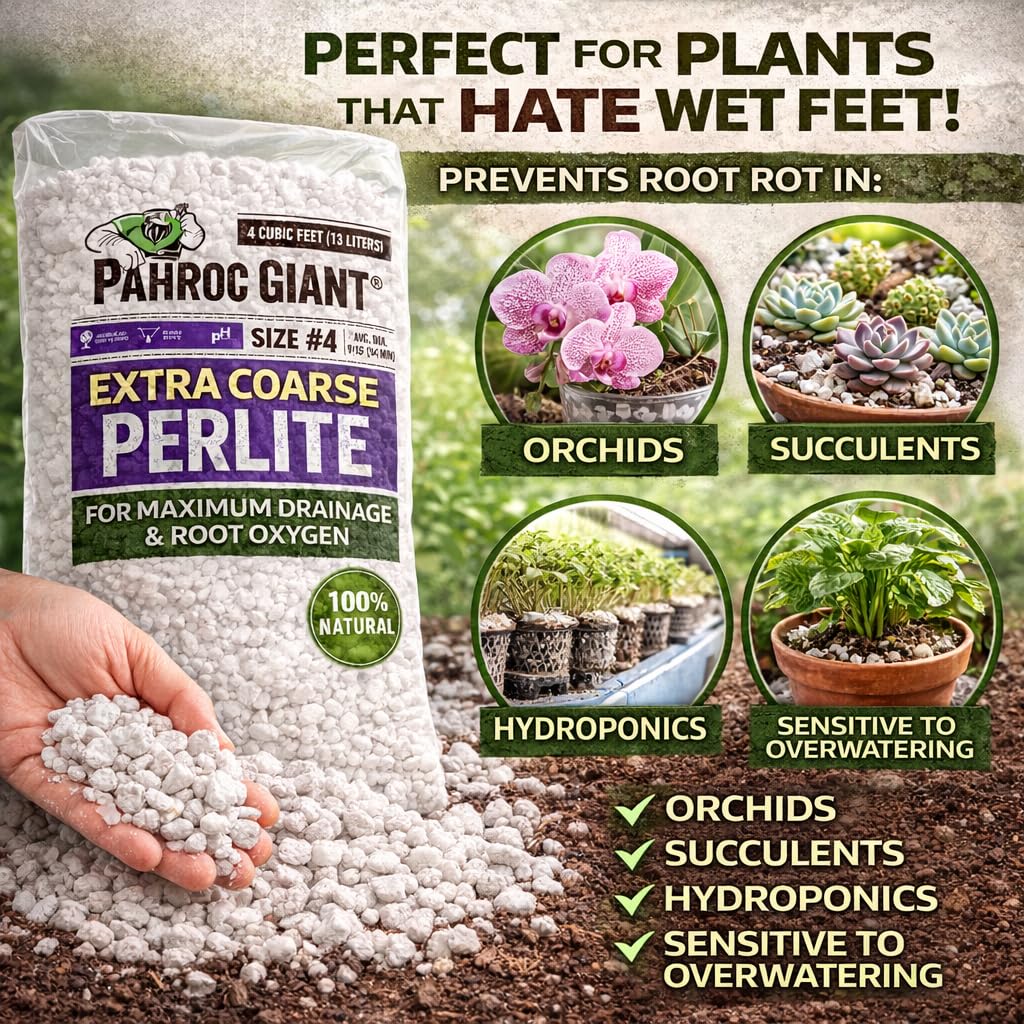 Perlite 4 CF Super Coarse J3428