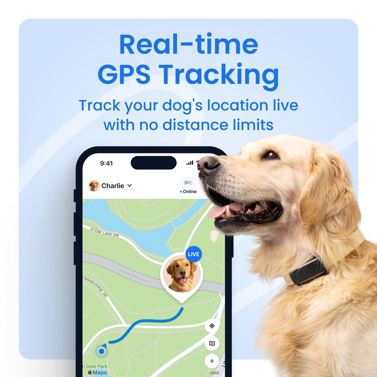 Black Smart Dog GPS Tracker with Virtual Fence M567860