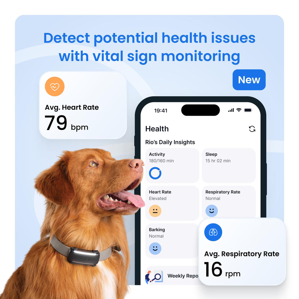 Black Smart Dog GPS Tracker with Virtual Fence M567860