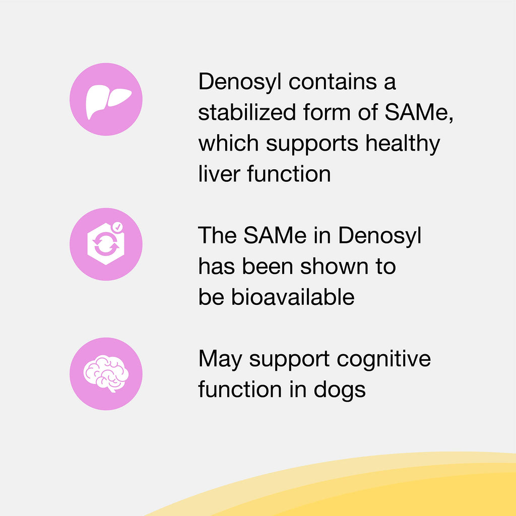 30ct Liver & Brain Support Tablets for Cats & Small Dogs Z144