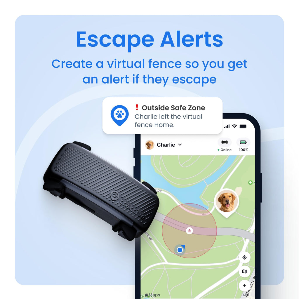 Black Smart Dog GPS Tracker with Virtual Fence M567860