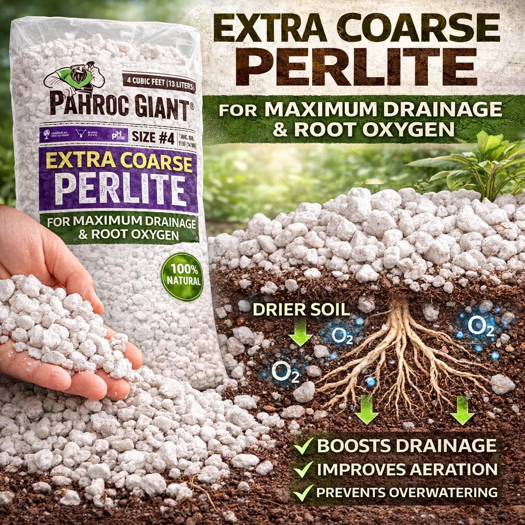 Perlite 4 CF Super Coarse J3428