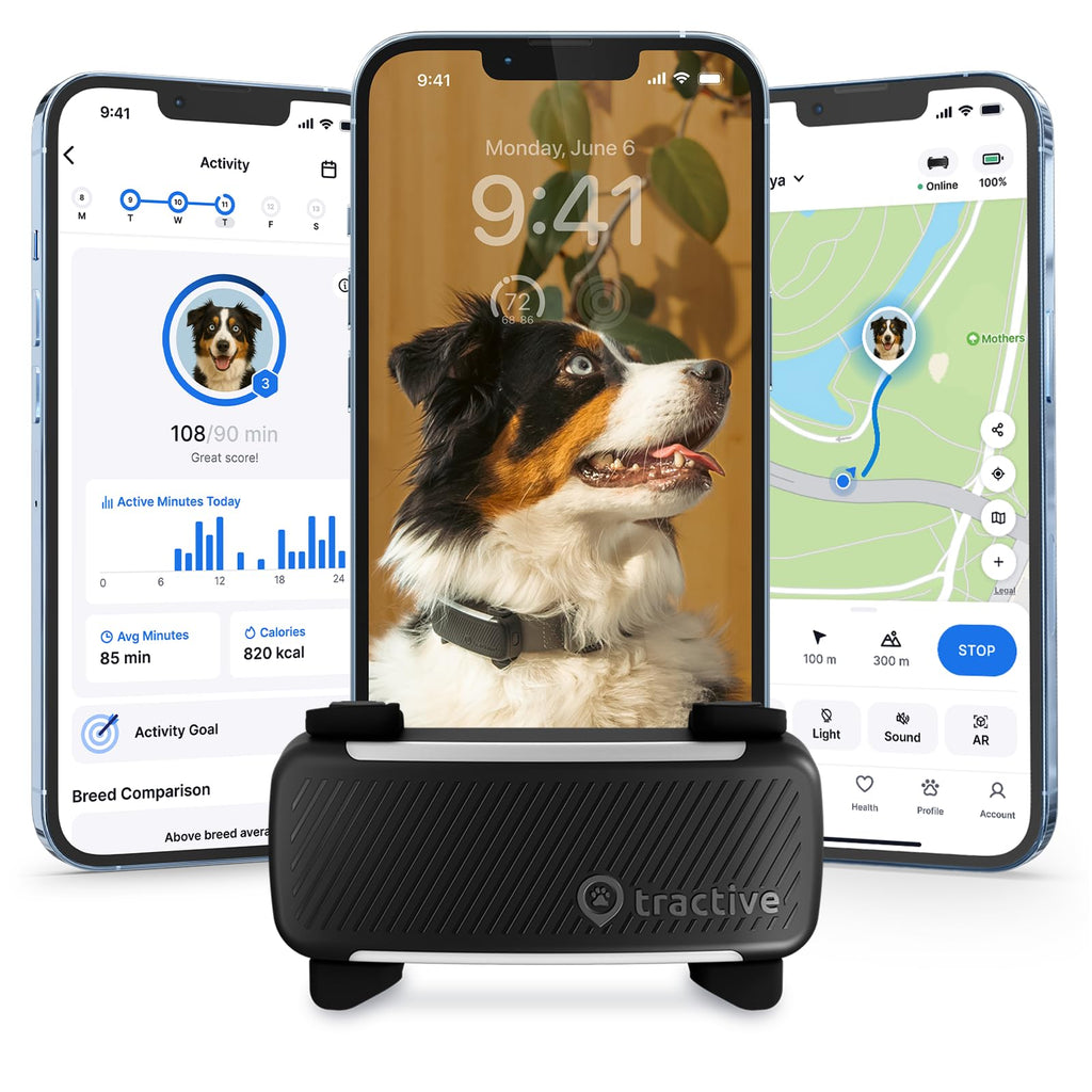 Black Smart Dog GPS Tracker with Virtual Fence M567860