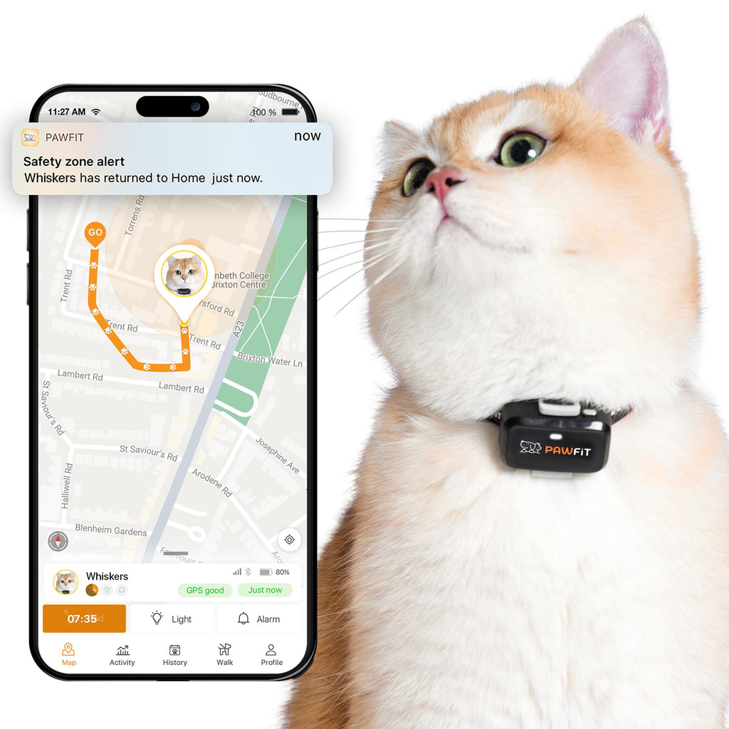 4G GPS Cat Tracker, Ultra-Light, Onyx Black Z512