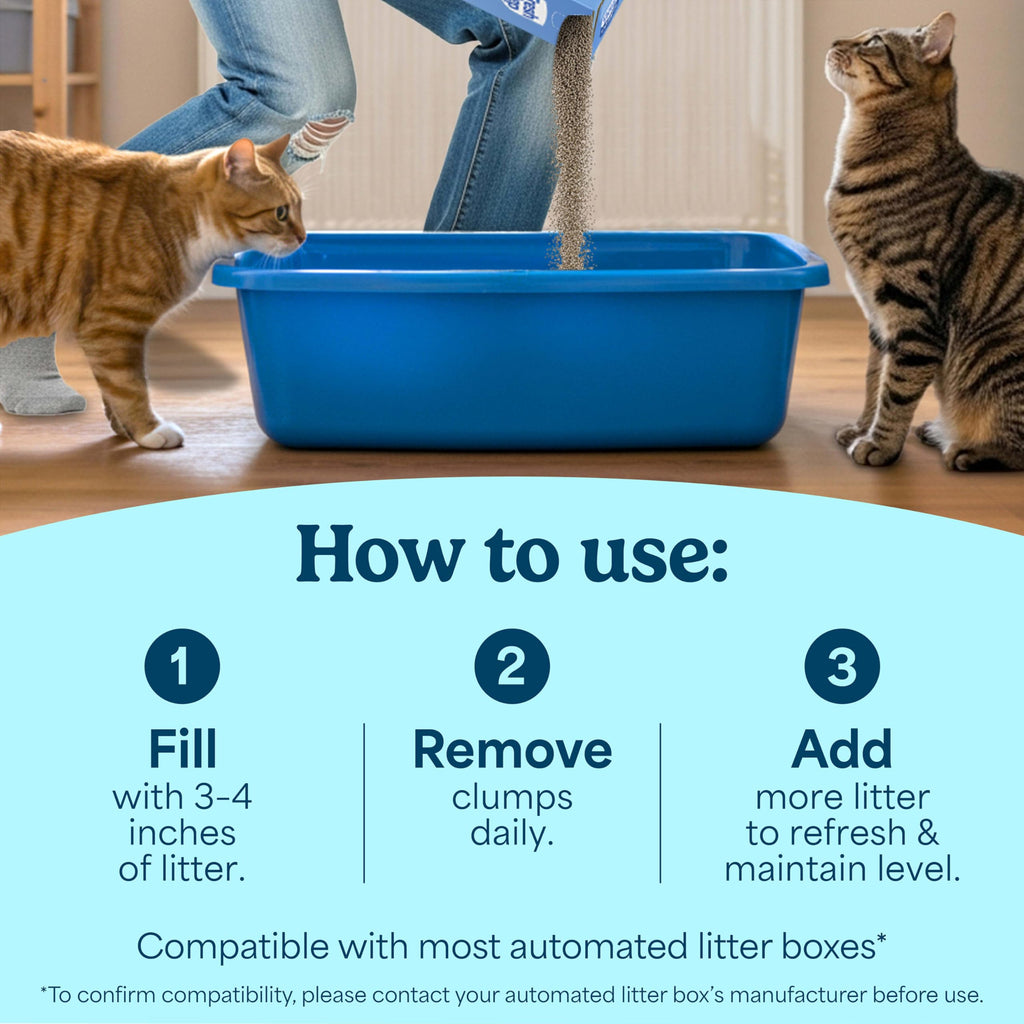 Unscented Clumping Cat Litter with Activated Charcoal, 14 lb N456526