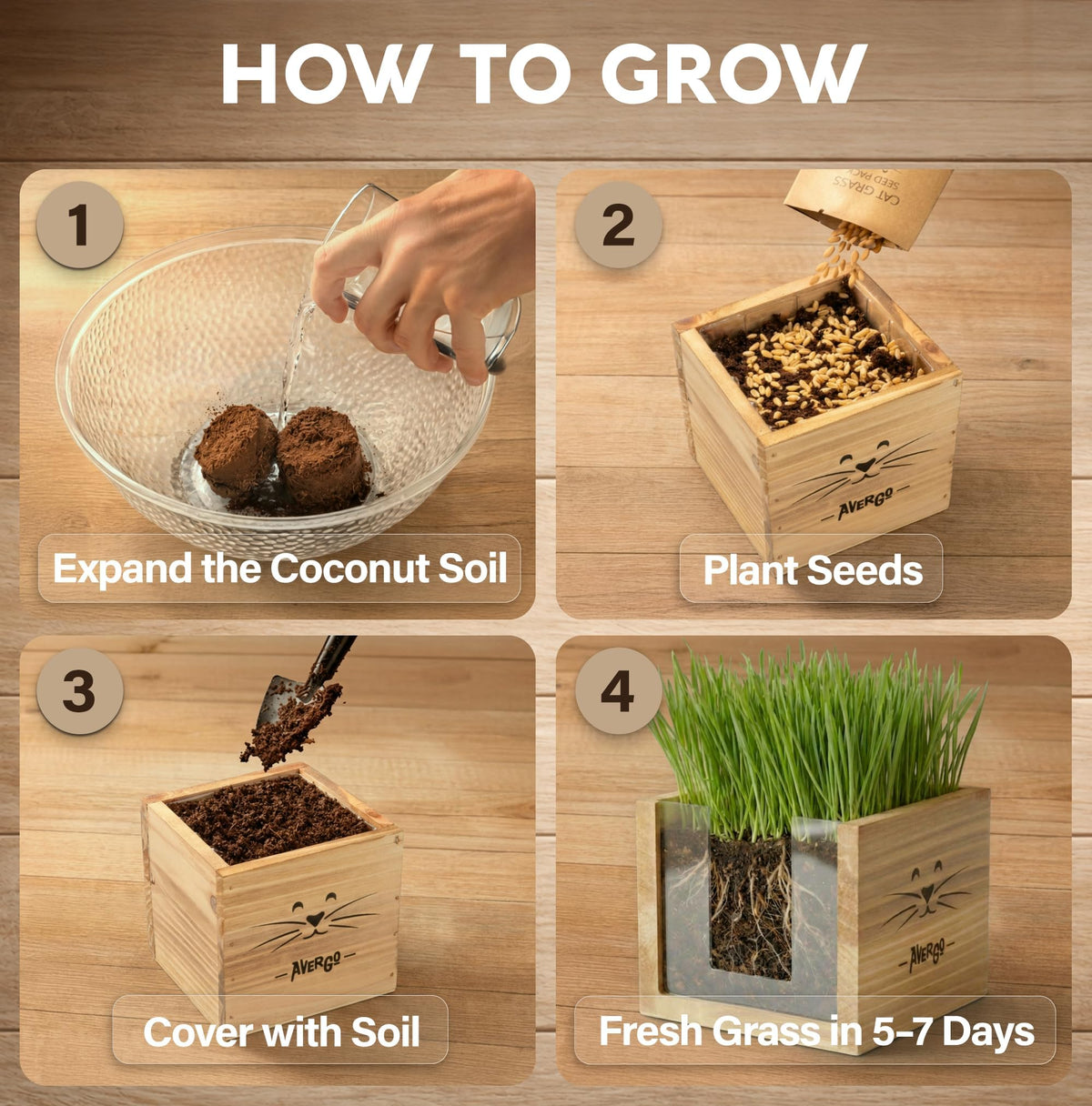 Cat Grass Kit with 2 Seed Packets P403795