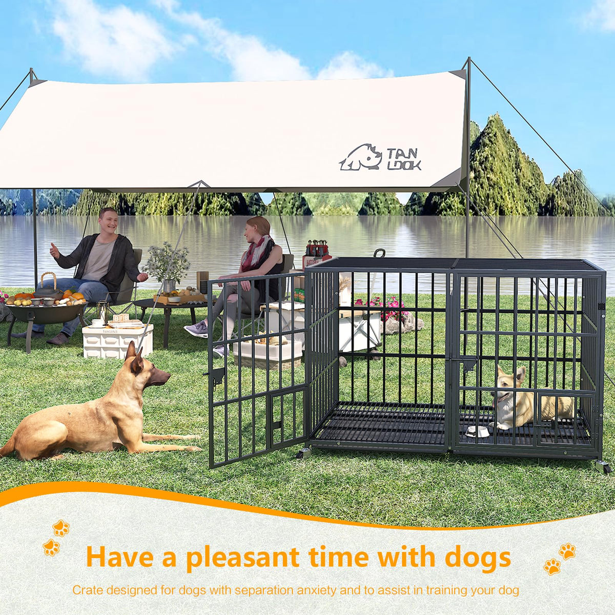 42 Inch Heavy Duty Metal Dog Crate with Divider M382482