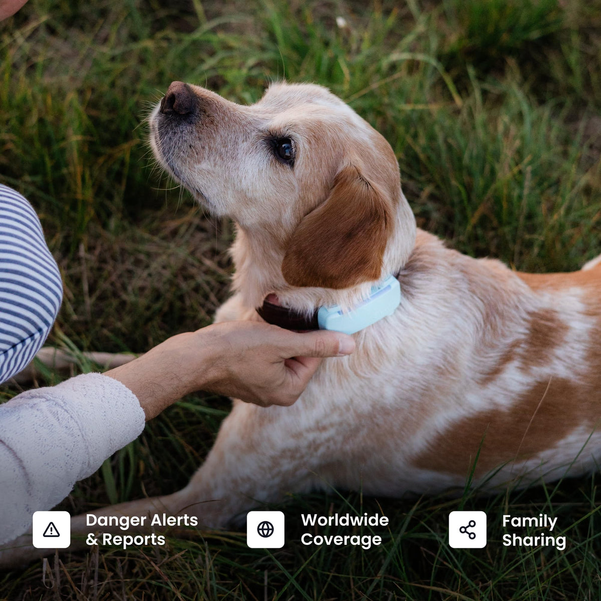 Black Smart Dog GPS Tracker with Virtual Fence M567860