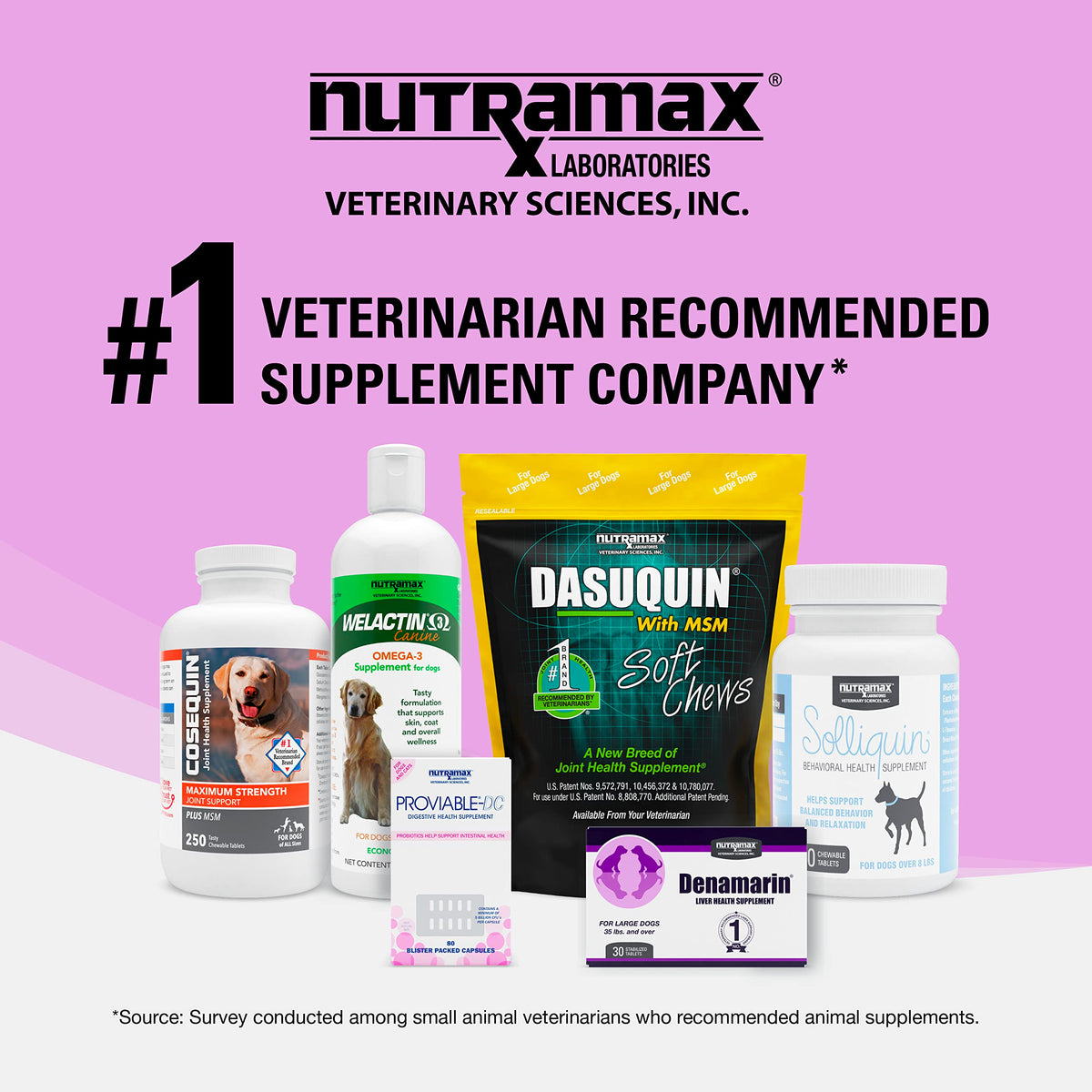 30ct Liver & Brain Support Tablets for Cats & Small Dogs Z144