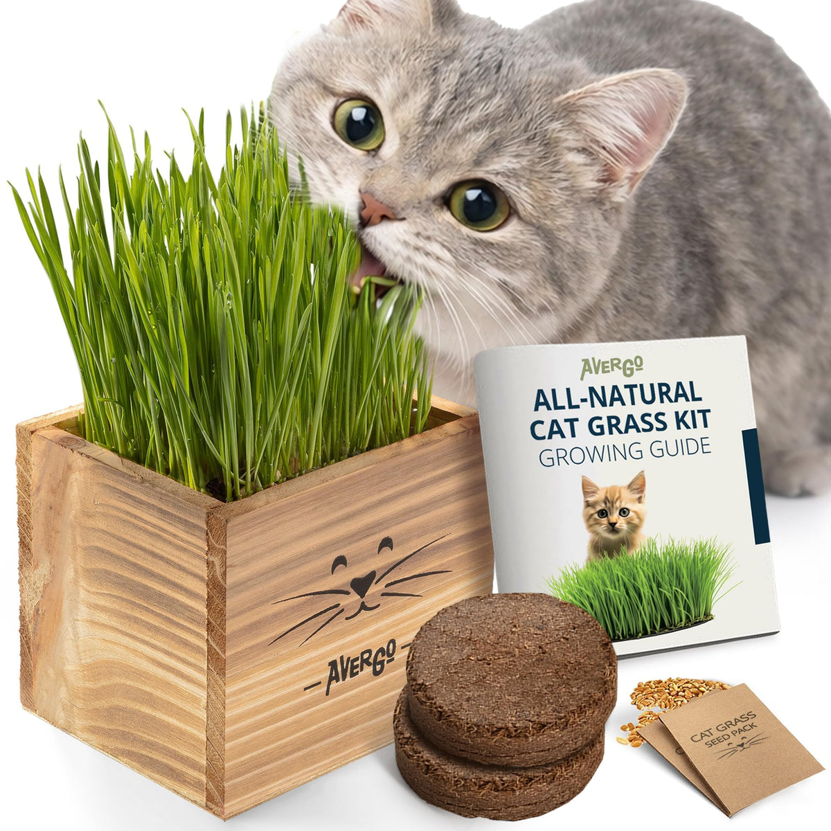 Cat Grass Kit with 2 Seed Packets P403795