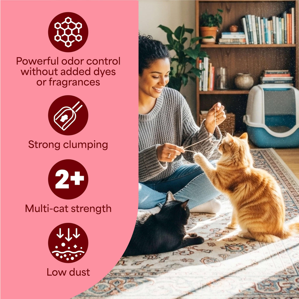 Unscented Clumping Cat Litter with Activated Charcoal, 14 lb N456526