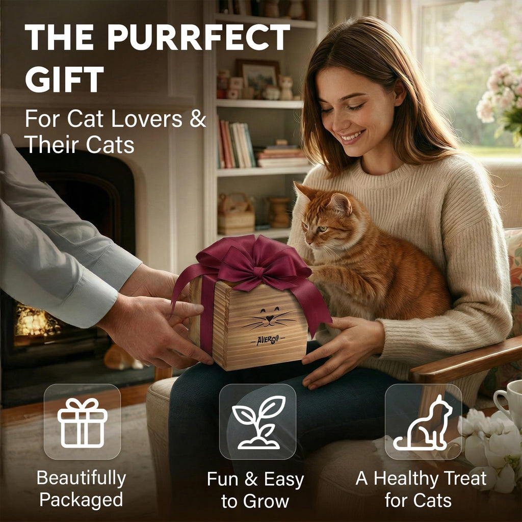Cat Grass Kit with 2 Seed Packets P403795