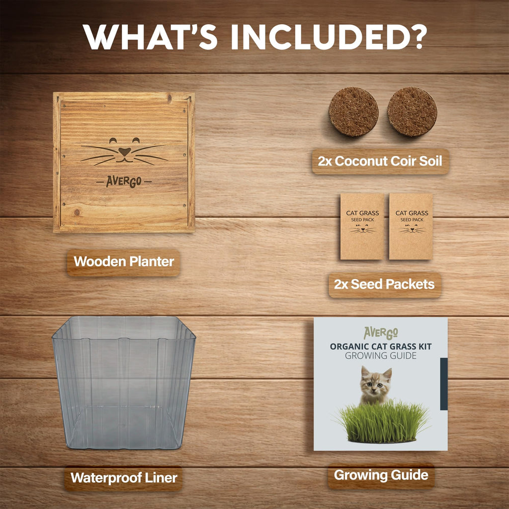 Cat Grass Kit with 2 Seed Packets P403795