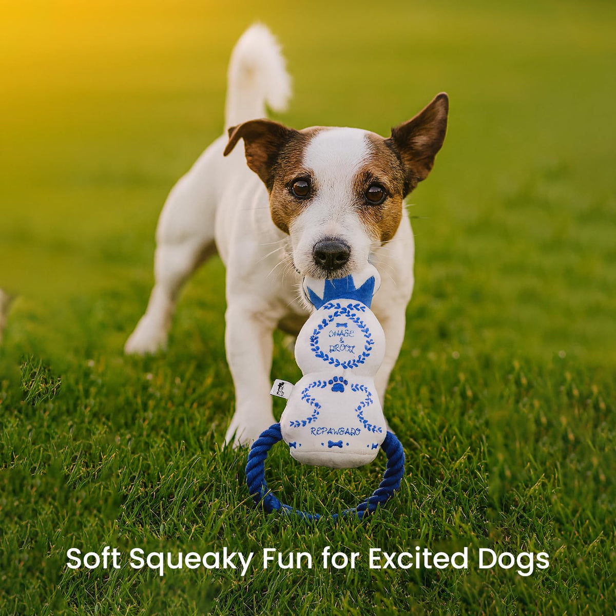 Plush Squeaky Crinkle Dog Toy Y7994