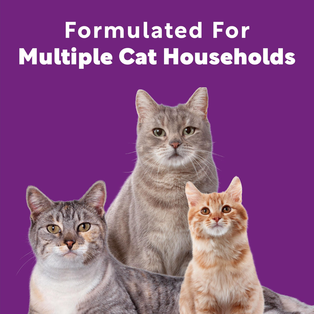 Multi Cat Clumping Cat Litter 18.5lb 2Pk T99863