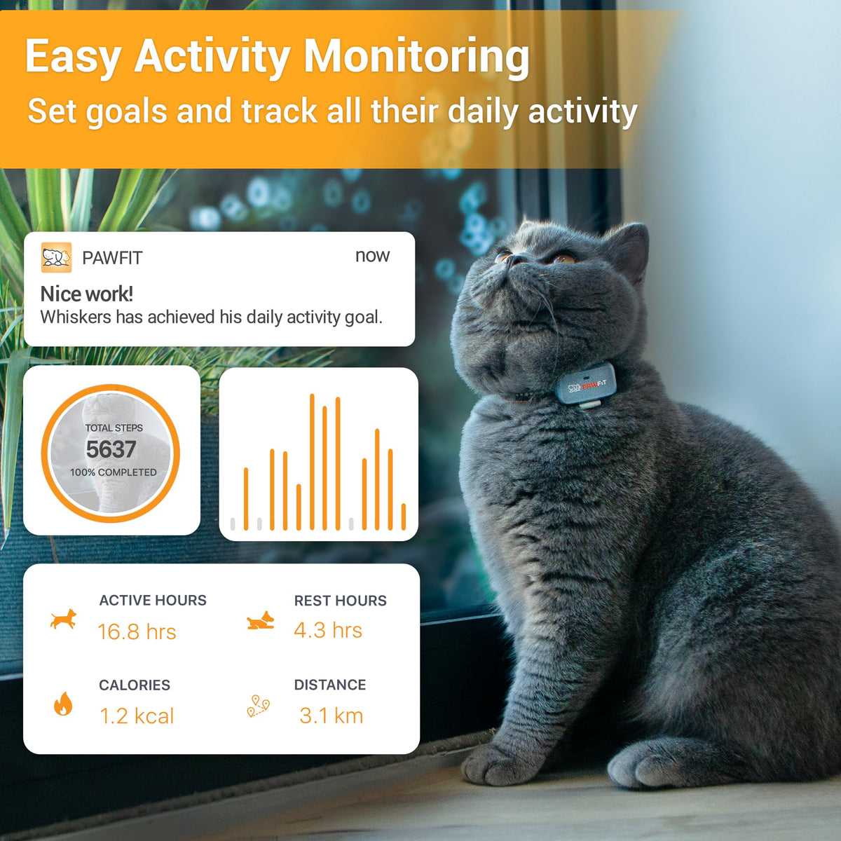 4G GPS Cat Tracker, Ultra-Light, Onyx Black Z512
