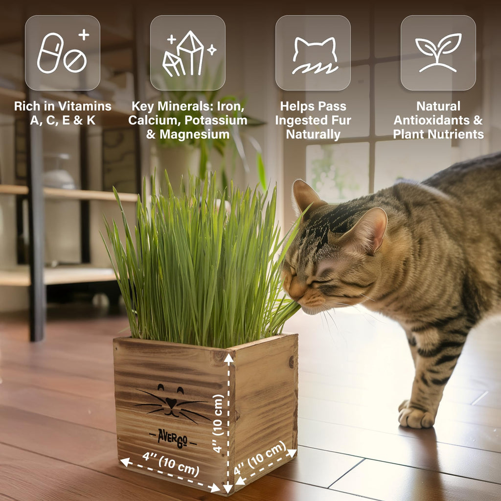 Cat Grass Kit with 2 Seed Packets P403795
