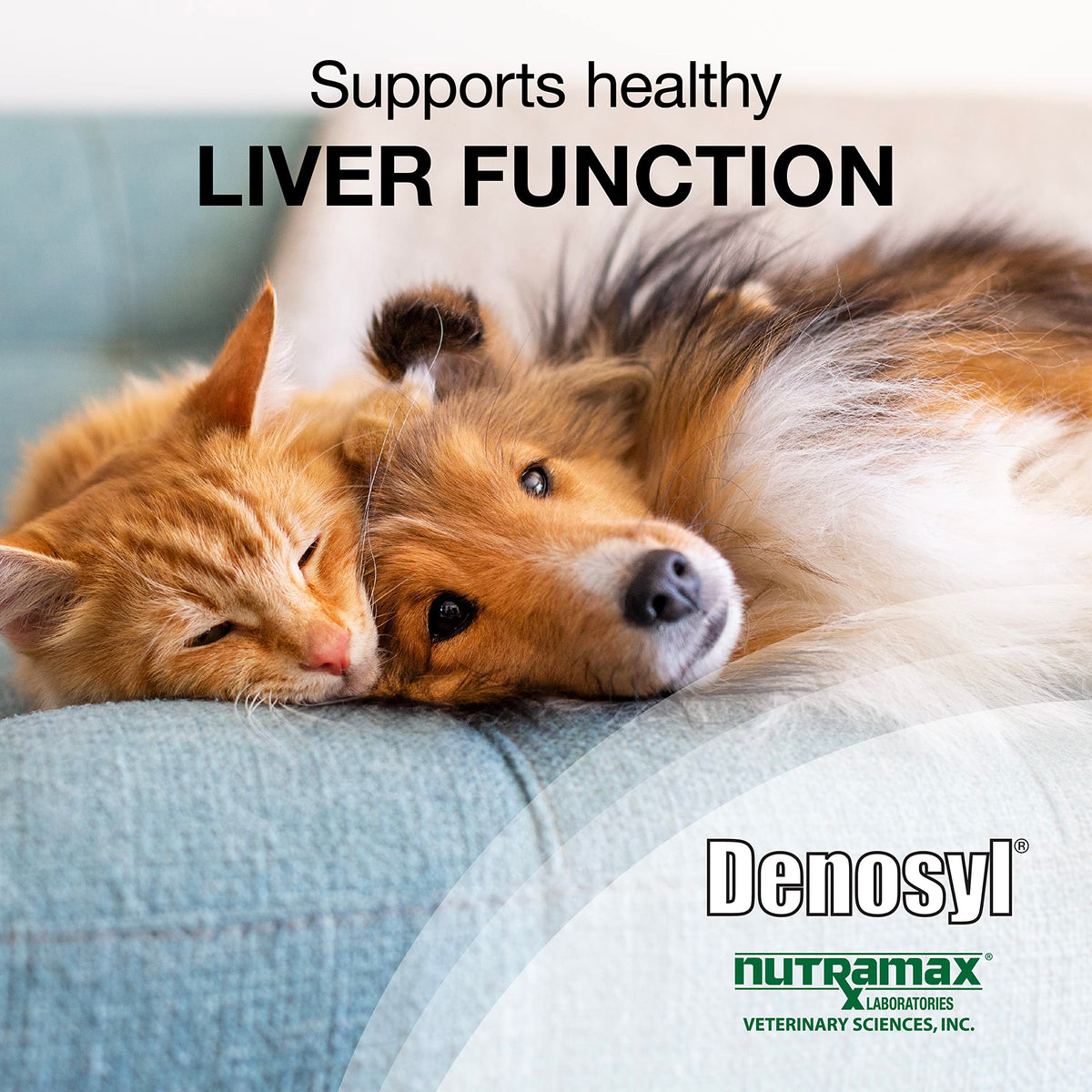 30ct Liver & Brain Support Tablets for Cats & Small Dogs Z144