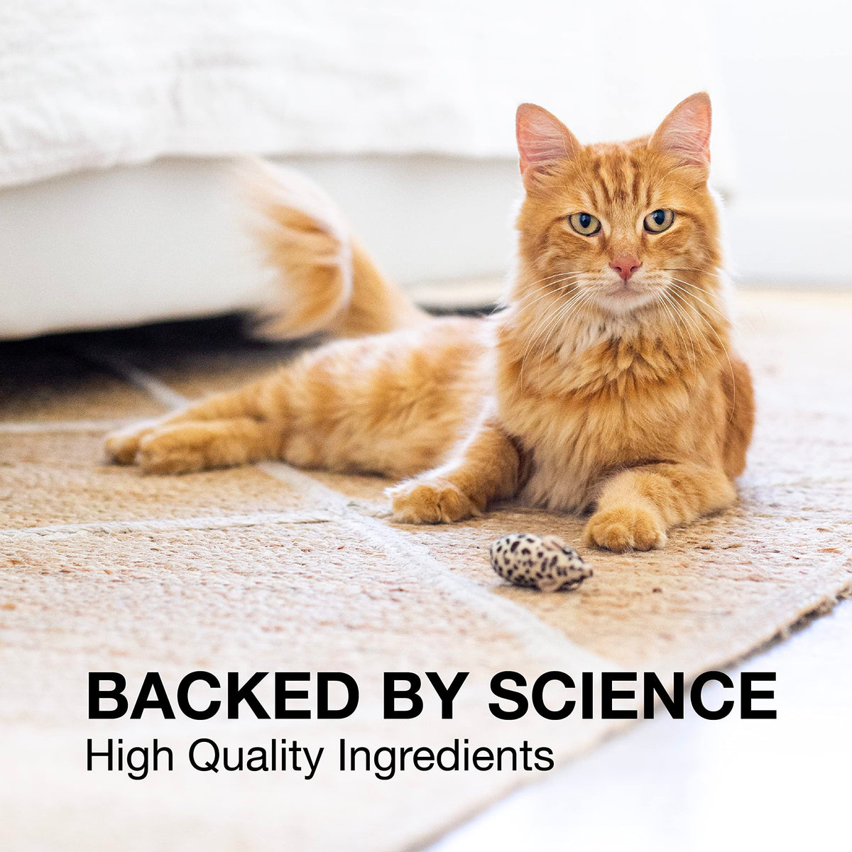 30ct Liver & Brain Support Tablets for Cats & Small Dogs Z144