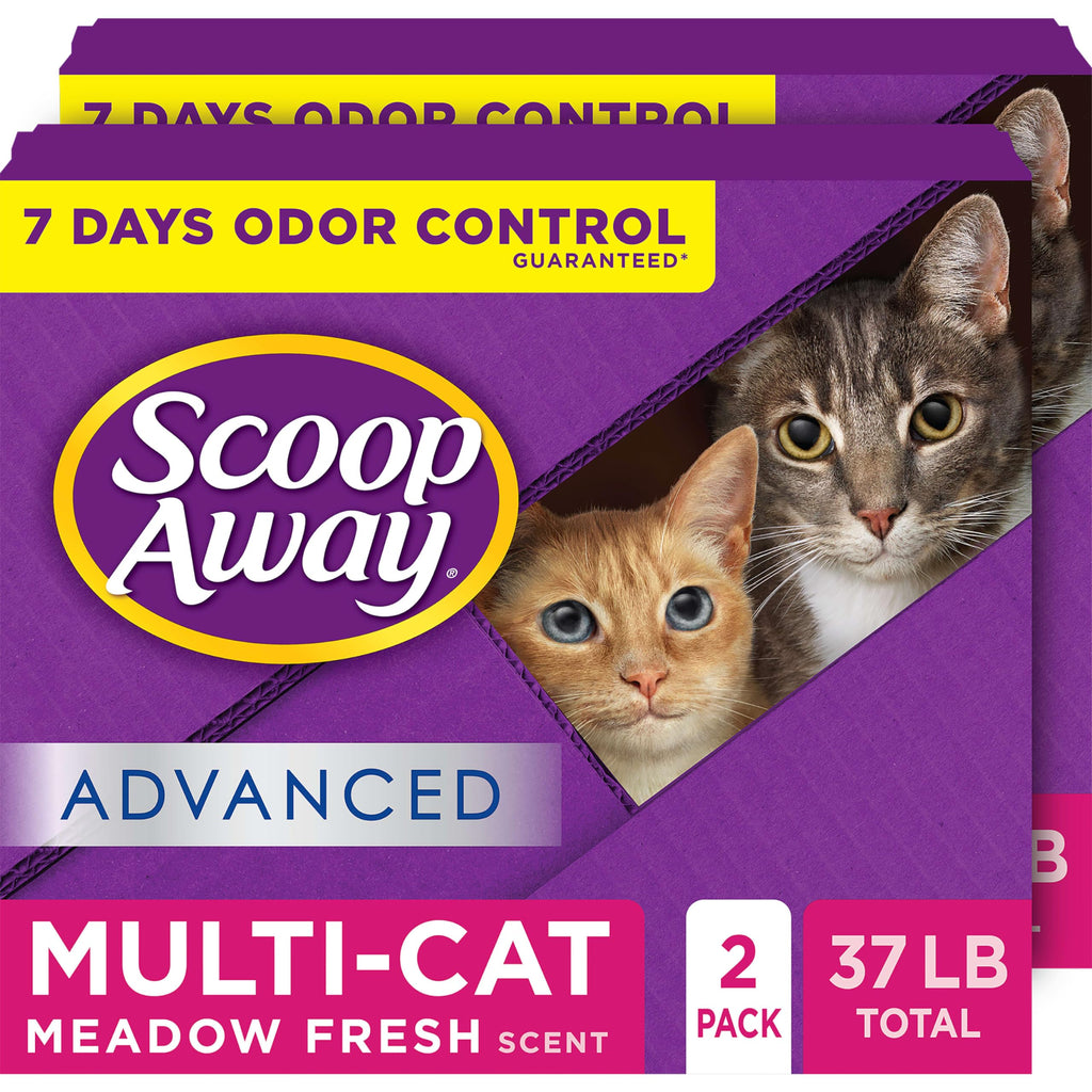 Multi Cat Clumping Cat Litter 18.5lb 2Pk T99863